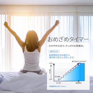 HotaluX LEDシーリングライト HLDC08A445KSG-イメージ10