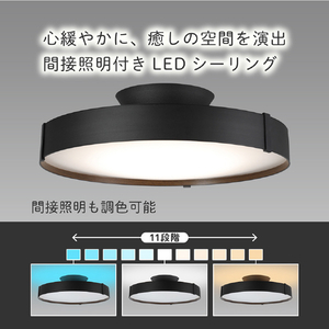 HotaluX LEDシーリングライト HLDC12A445KSG-イメージ2