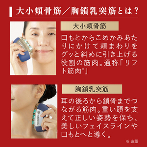 ヤーマン リフトロジーSP「日本限定企画」 シェルピンク YJFD2P-イメージ10
