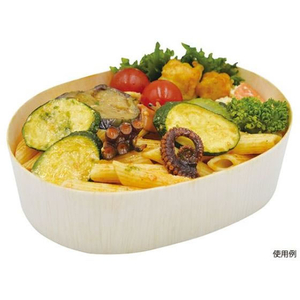 パックスタイル ファルカタ 楕円 170-120 本体 25枚 FC351SH-00678008-イメージ5