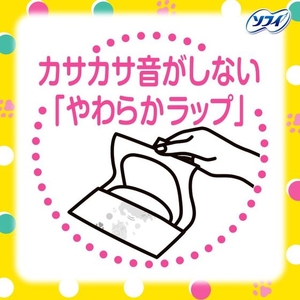 ユニ・チャーム センターイン ふわタイプ ふつうの日 羽無 24枚×2個 FCE906U-イメージ4