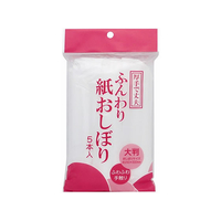 アートナップ ふんわり紙おしぼり 5本入 F034886-WB-51