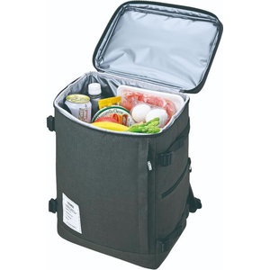 サーモス THERMOS 保冷リュック ボックス型 25L 大容量 ダークグレー FCJ543K-RFP-025 DGY-イメージ3