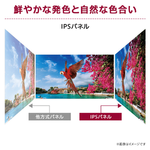 LGエレクトロニクス 23．8型液晶ディスプレイ 24MR400-B-イメージ2