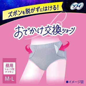 ユニ・チャーム ソフィ 超熟睡 おでかけ交換ショーツ 昼用 ML 4枚 FCE908U-イメージ2