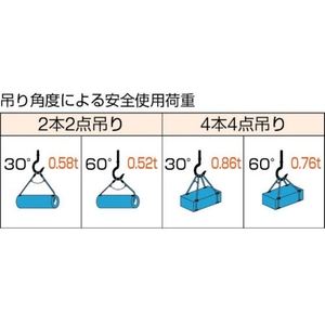 トラスコ中山 Wスリング Aタイプ 6mm×3.0m FC582GJ-1770039-イメージ2
