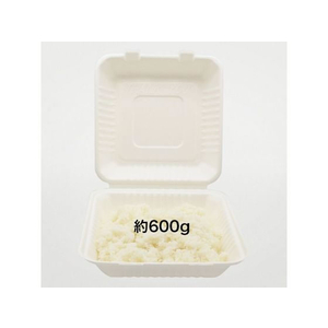 パックスタイル バガス容器 ABランチ 230-230 200枚 FC355SH-00680560-イメージ2