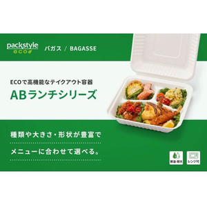 パックスタイル バガス容器 ABランチ 230-230 200枚 FC355SH-00680560-イメージ4