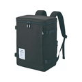 サーモス THERMOS 保冷リュック ボックス型 25L 大容量 オールブラック FCJ544K-RFP-025 ALB