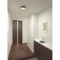 ダイコウデンキ DXL-81480C LED廊下灯 黒(昼光色)|エディオン