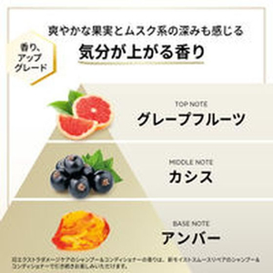 Ｐ＆Ｇ パンテーン エクストラダメージリペア コンディショナー 詰替 300g FC583TA-イメージ2