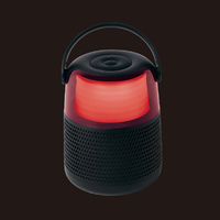 ライソン KABS-043B よいどれスピーカー＆マイク |エディオン公式通販