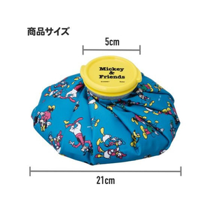 スケーター アイスバッグ M くまのプーさん FC182PS-ICB2-イメージ6