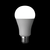 ヤザワ LED電球 E26口金 全光束1,736lm(14．2W一般電球タイプ) 昼白色相当 LDA14NG-イメージ2