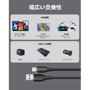 VOLTME PowerLink Moss USB-A & USB-C ケーブル(シリコン) ブラック C2121-イメージ5