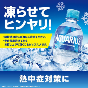 コカ・コーラ アクエリアス 500ml×24本 (冷凍兼用) 1ケース（24本） F806793-イメージ2