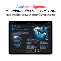 Apple MCA74J/A 11インチiPad Air Wi-Fiモデル 512GB スペースグレイ