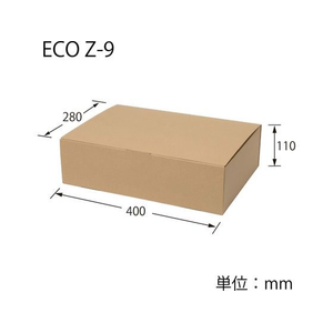 ヘイコー ナチュラルボックス ECO・Z-9 無地 10枚 FC489SF-006204090-イメージ2