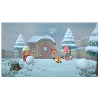 任天堂 HACPACBAA あつまれ どうぶつの森【Switch】 |エディオン