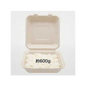 パックスタイル バガス容器 新BBランチ 230-230 50枚 FC359SH-00683957-イメージ2