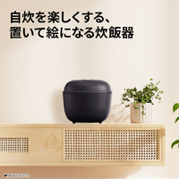 A5602 お買い得商品‼ シャープ 2020年製 炊飯器 KS-KC5-W Amazon | シャープ 炊飯器 3合 黒厚釜 球面炊き ブラック KS-C5K-B