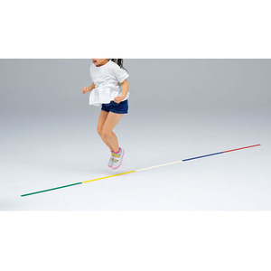 トーエイライト TOEI LIGHT トーエイライト/ステップカラーラバーライン60 10本1組 FCJ115B-B2705-イメージ3