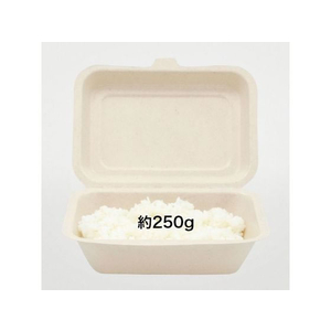 パックスタイル バガス容器 WBランチ 180-130 ラミ 50枚 FC360SH-00686419-イメージ2