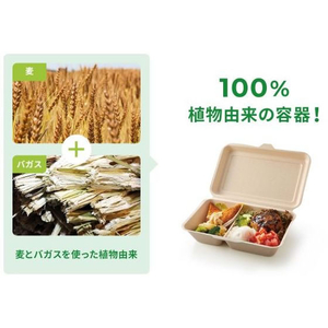 パックスタイル バガス容器 WBランチ 180-130 ラミ 50枚 FC360SH-00686419-イメージ5