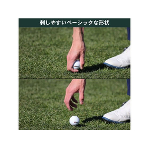 タバタ 白木ティー ショート FCF704U-GV0432-イメージ4
