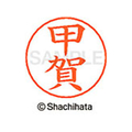シヤチハタ ネームペン用ネーム シルバー 既製 甲賀 FC46872-X-GPS-1101