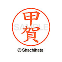 シヤチハタ ネームペン用ネーム シルバー 既製 甲賀 FC46872-X-GPS-1101