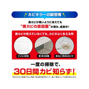 ジョンソン カビキラ- 特大サイズ 本体 1000g F927484-イメージ4
