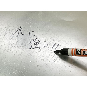 寺西化学工業 災害時用マーカー 極太中字 黒 FCE296L-MSGC-T1-2P-イメージ6