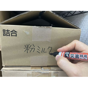 寺西化学工業 災害時用マーカー 極太中字 黒 FCE296L-MSGC-T1-2P-イメージ7