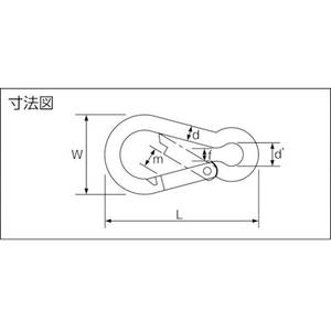 トラスコ中山 国産カラビナハーケン B型 スチール製 12×140mm B型 12×140mm1.96 FC991FD-8191397-イメージ3