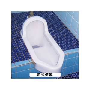 カンペハピオ 復活洗浄剤 トイレ陶器クリーナー 100ml FCB407M-イメージ9
