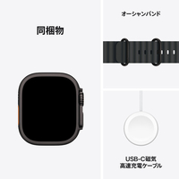 【美品・箱なし】純正49mmオーシャンバンド・ブラック（ナチュラルチタニウム）④ Apple Watch Ultra（GPS + Cellularモデル）- 49mmナチュラル