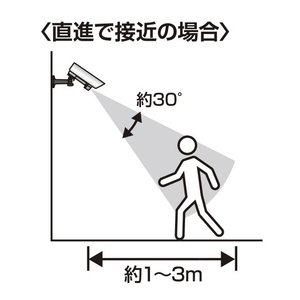 旭電機化成 センサーライト付き 防犯ダミーカメラ ASL-3309-イメージ6