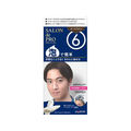 ダリヤ サロンドプロ 泡のヘアカラーEX メンズスピーディ 白髪用 6 FCE694M