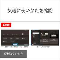 SONY BDZ-FBW2200 2TB HDD/4Kチューナー内蔵ブルーレイレコーダー