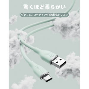 VOLTME シリコン 充電ケーブル USB-C&USB-A 60W グリーン C2128-イメージ2