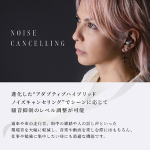 AVIOT 完全ワイヤレスイヤホン Black TE-J2-BK-イメージ9