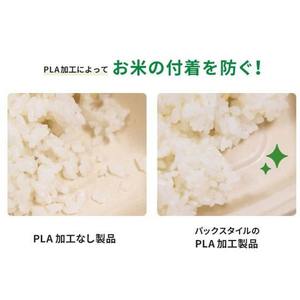 パックスタイル バガス容器 WBランチ 240-150-2 ラミ 50枚 FC366SH-00686420-イメージ7
