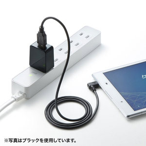 サンワサプライ USB充電器(1ポート・2A・高耐久タイプ) ホワイト ACA-IP52W-イメージ2