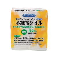 不織布タオル 120枚入 F973096-N-120