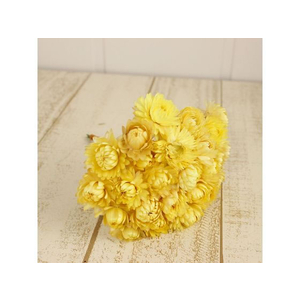 ワイヤー付きヘリクリサム hanadonya_002-35278