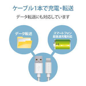 エレコム スタンダードLightningケーブル(タブレット向け) 0．5m ホワイト MPA-UALA05WH-イメージ7