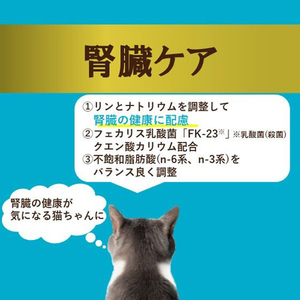 アイシア i CARE 腎臓ケア まぐろペースト 35g FCE999K-IC-3-イメージ4