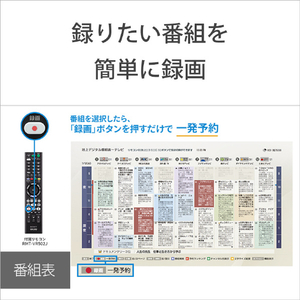 SONY HDD内蔵ブルーレイレコーダー(1TB) BDZ-ZW1900-イメージ10
