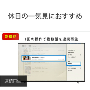 SONY HDD内蔵ブルーレイレコーダー(1TB) BDZ-ZW1900-イメージ12
